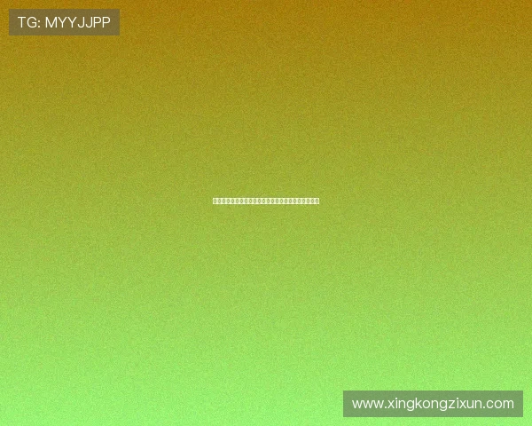 英超官方手册详解：从赛事规则到球队策略全方位解析